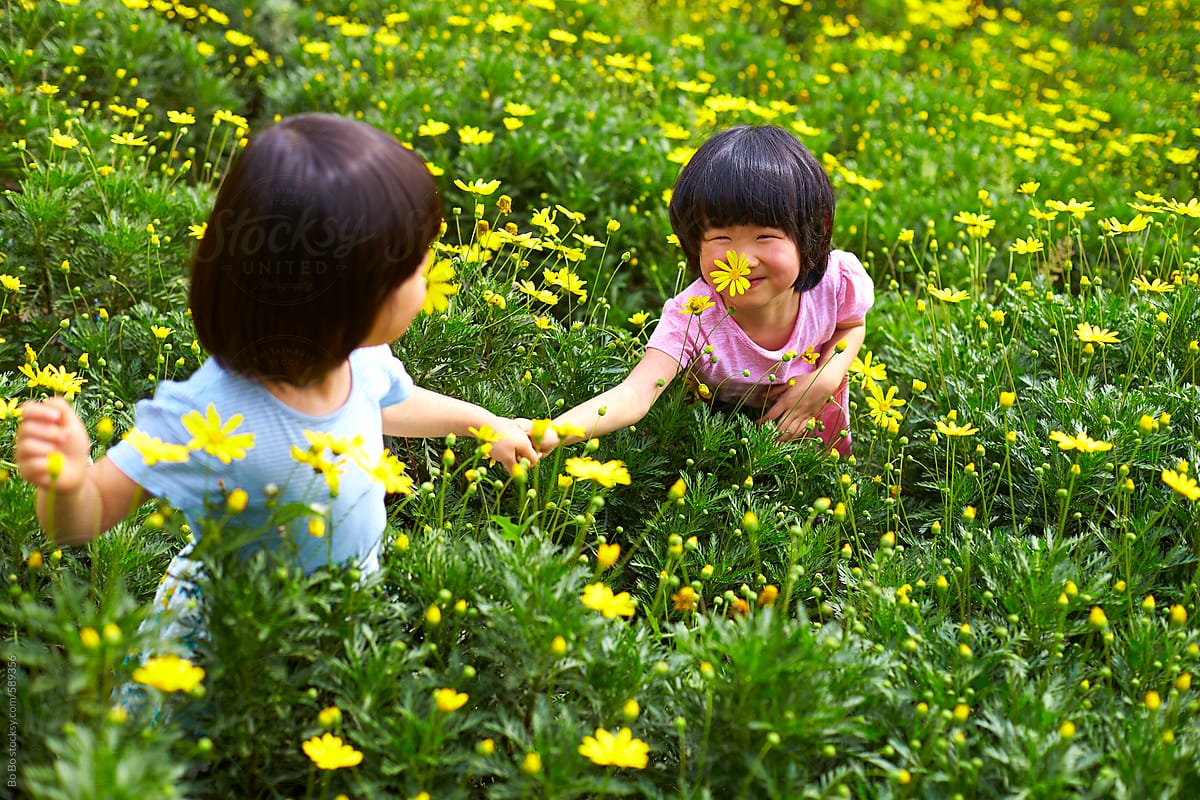 Two Lovely Little Asian Girls In The Spring Field Del Colaborador De