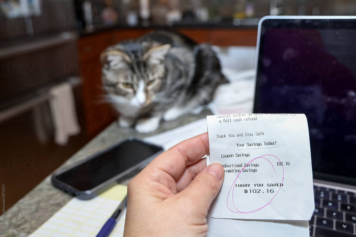 Woman Looking at Receipts with Cat