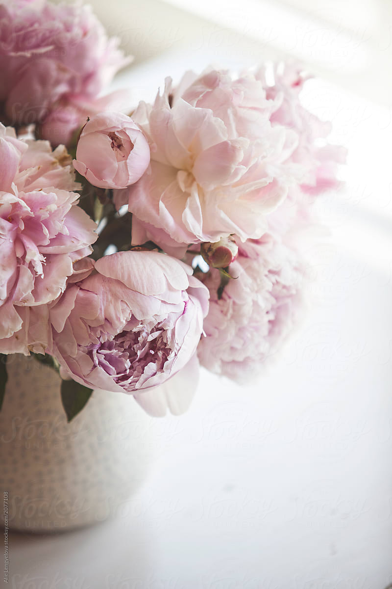 Bouquet of Pink Peony