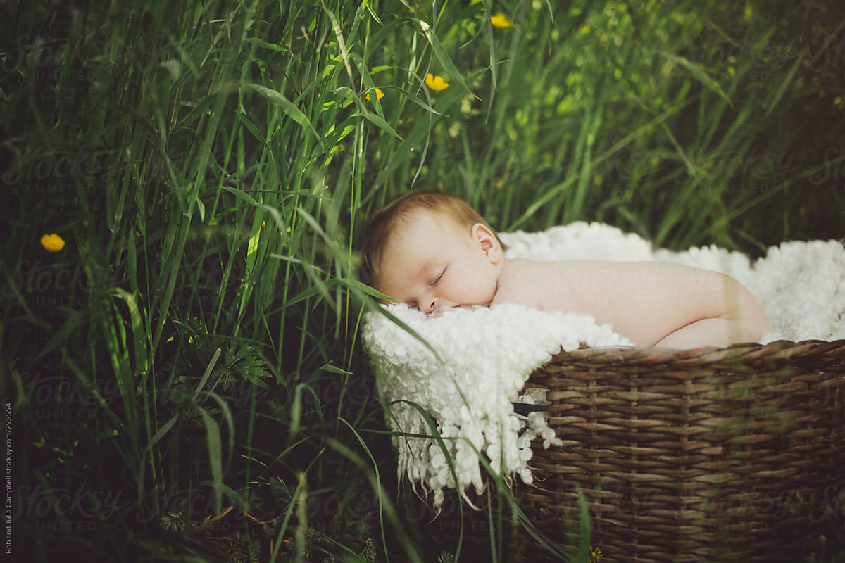 Baby sleeping in basket outside in spring or summer grasses