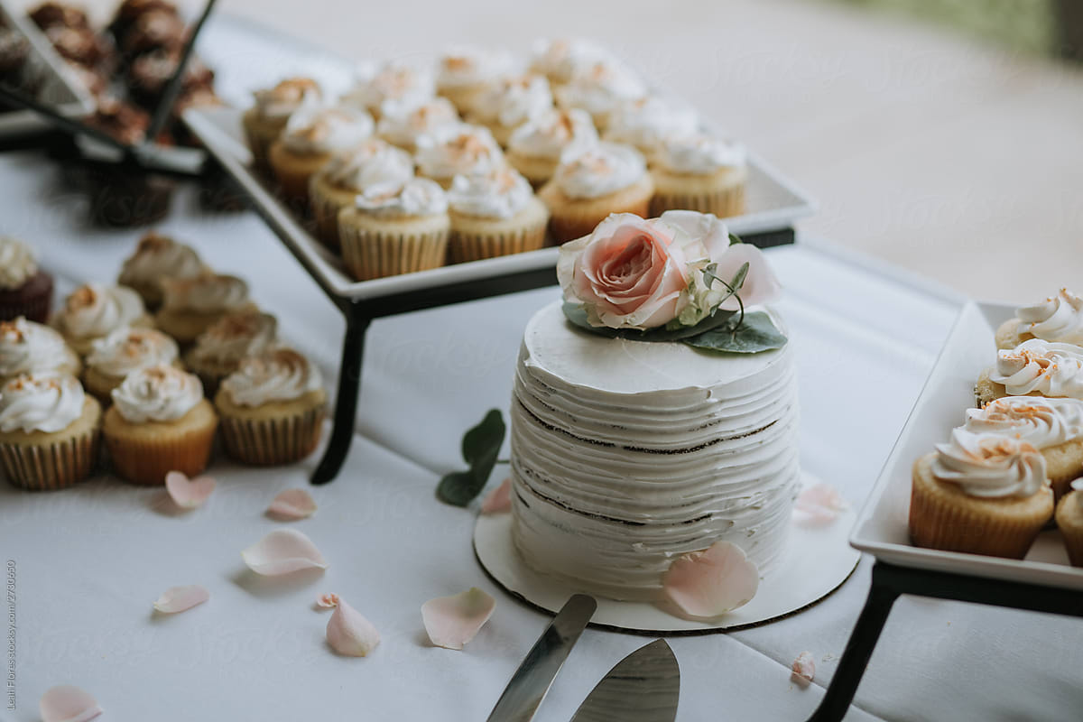 Wedding Cake and Cupcakes