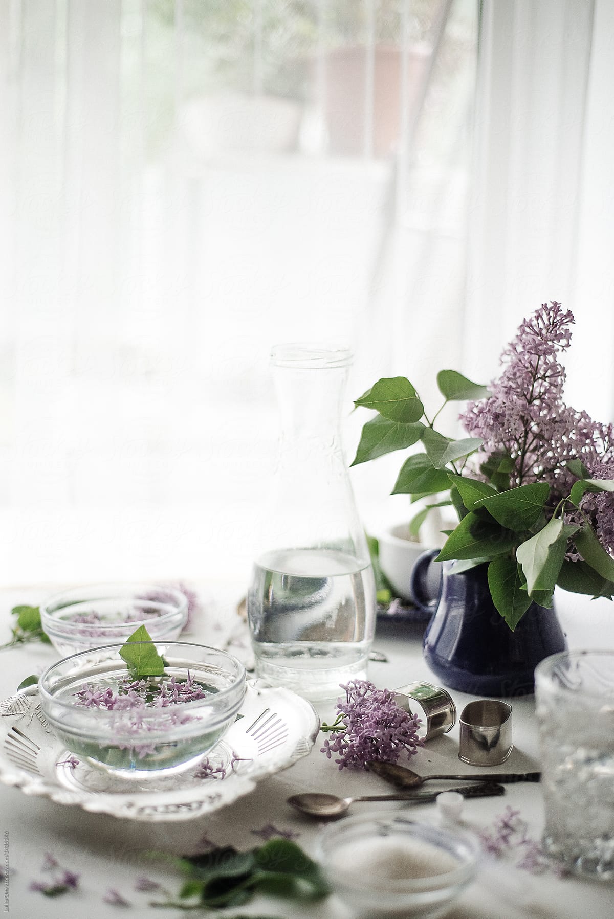 Still life with lilacs