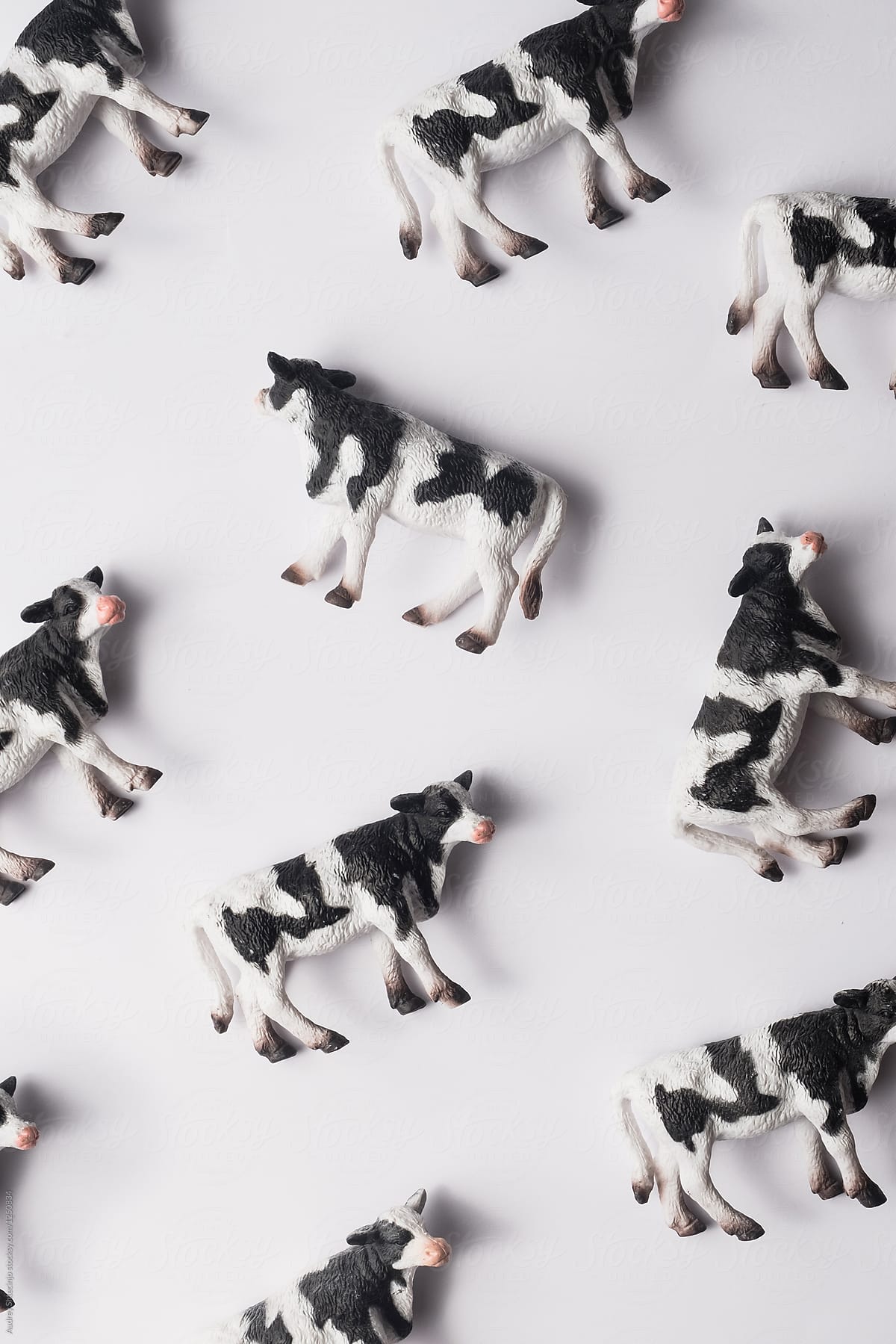 Miniature of cows on white background.