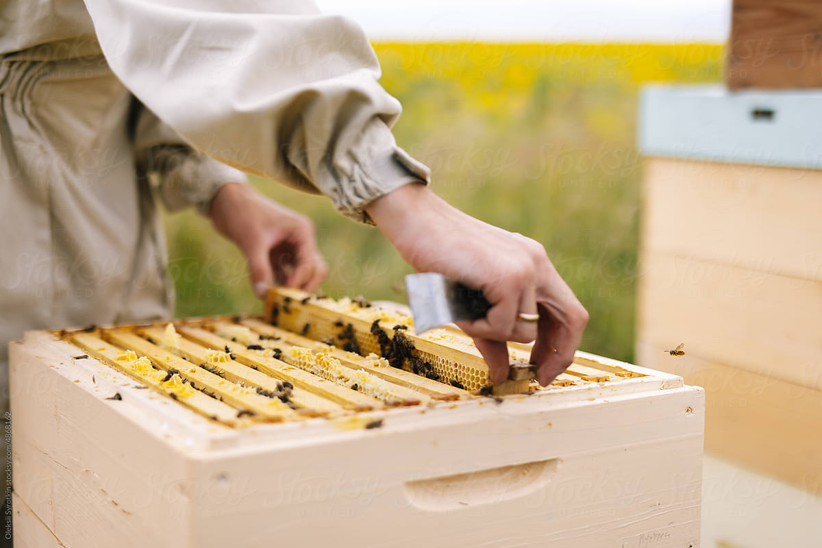 Beehive honeycomb frame