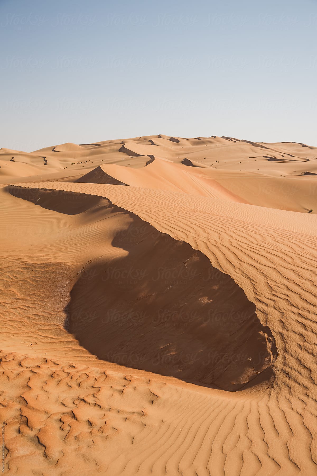 Desert dunes on a sunny day