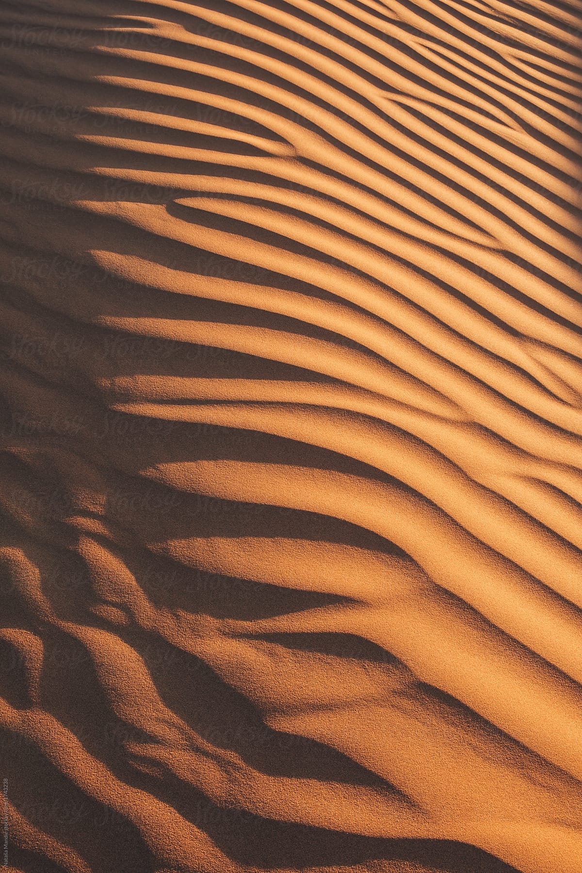 Golden dunes at sunset