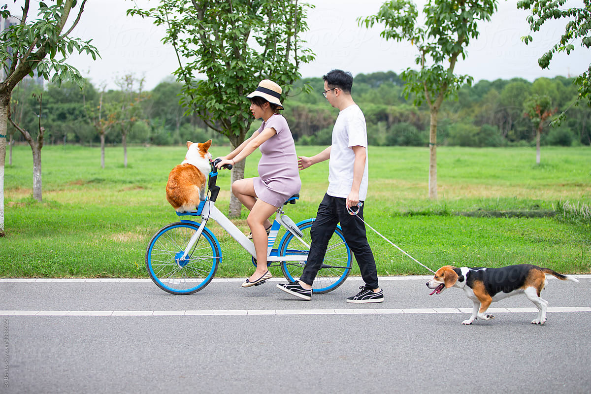 happy asian couple outdoor in the park with two dogs