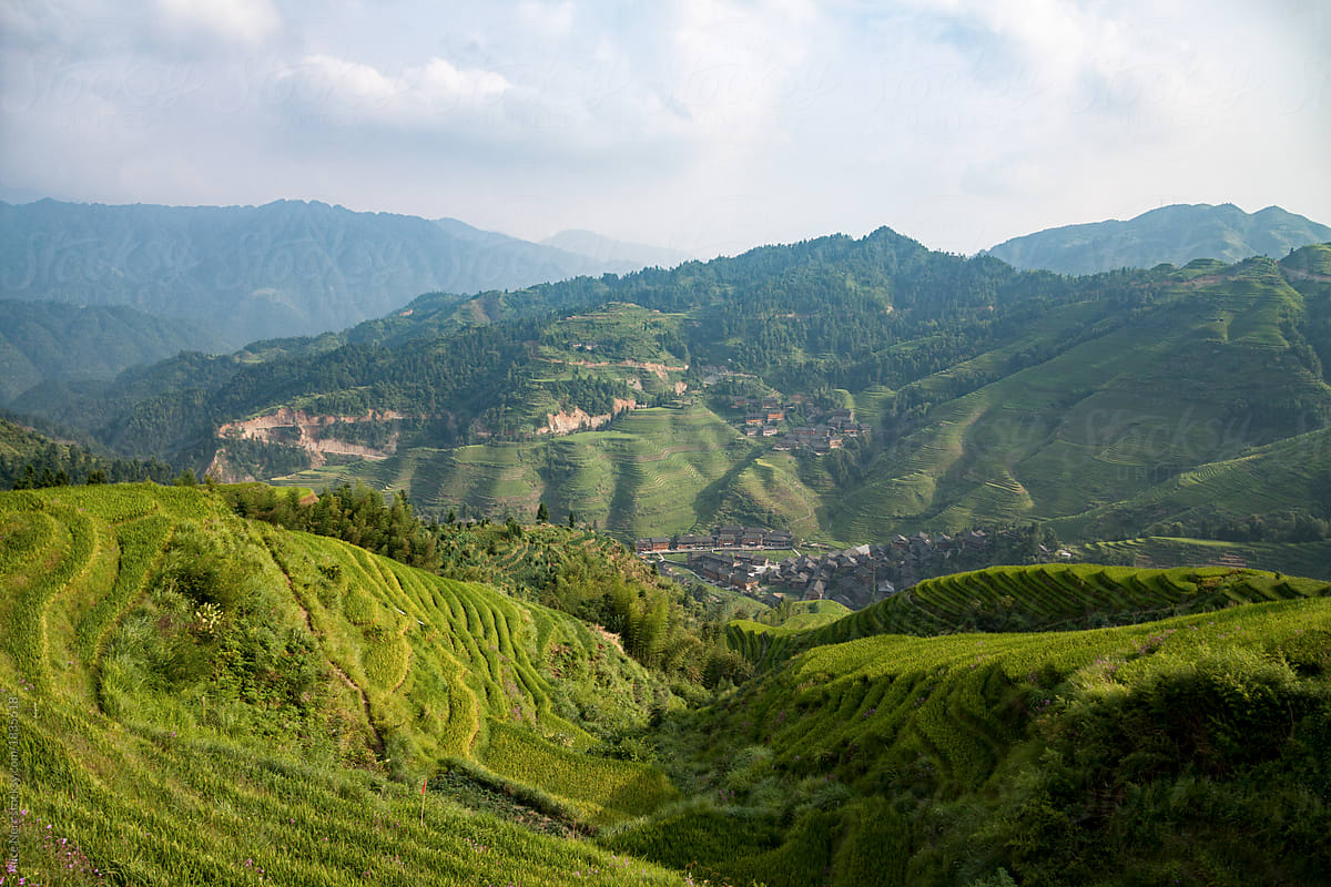 Green rice terraces in rural part of China