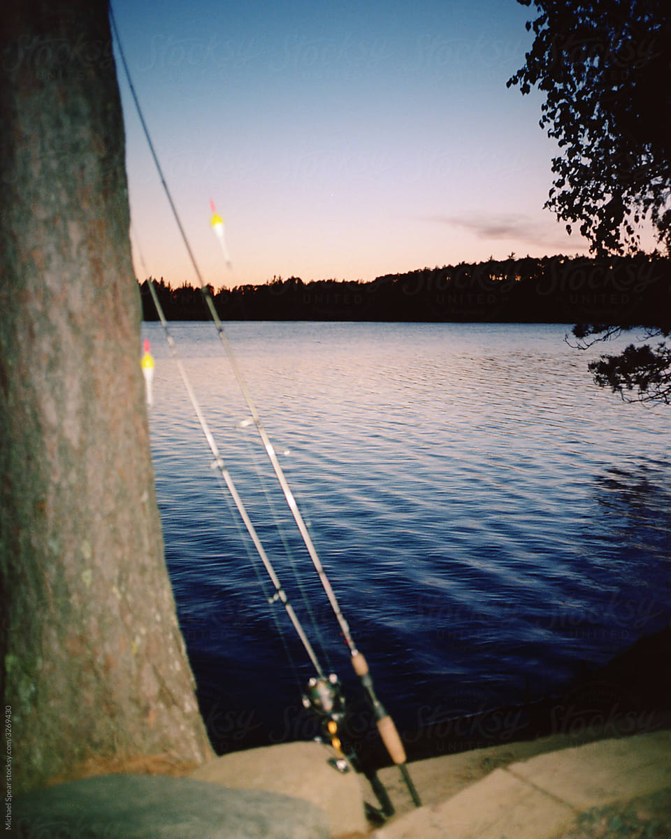 Fishing Poles Leaning Against A Tree by Stocksy Contributor