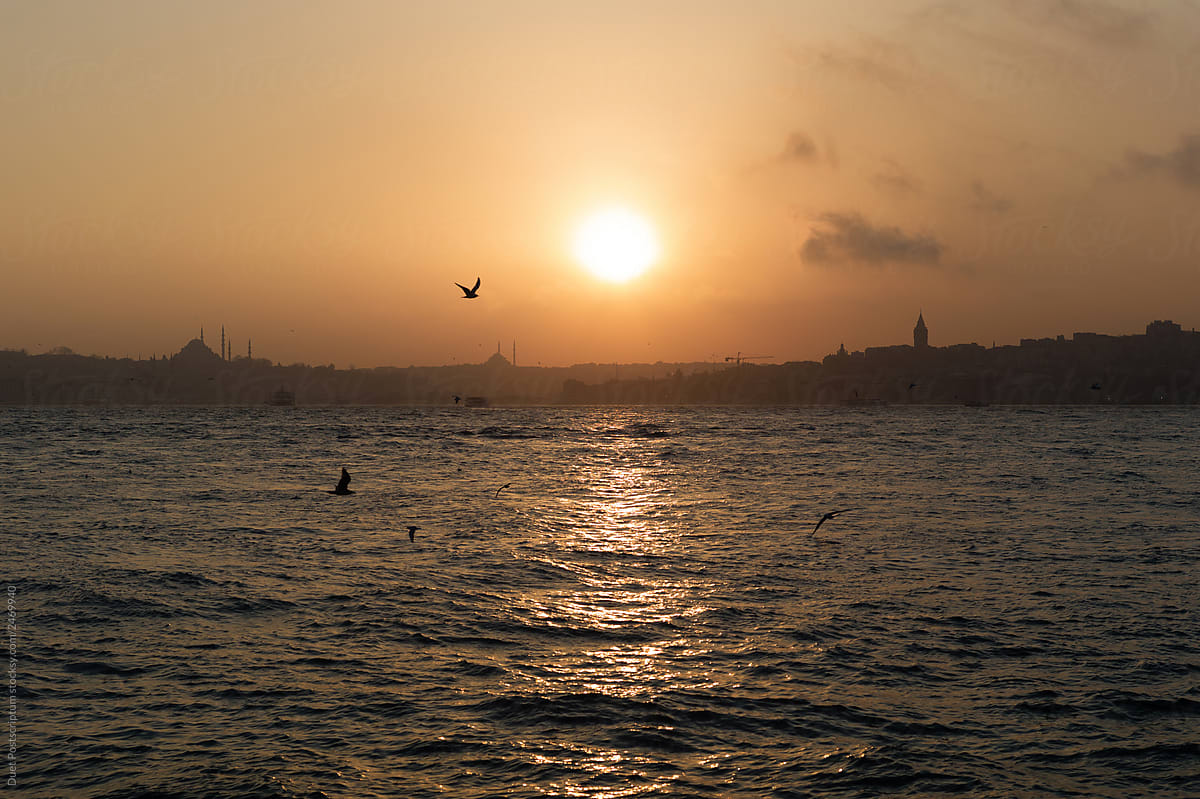 Sea and birds in sky at sunset. Sunset over the Bosphorus