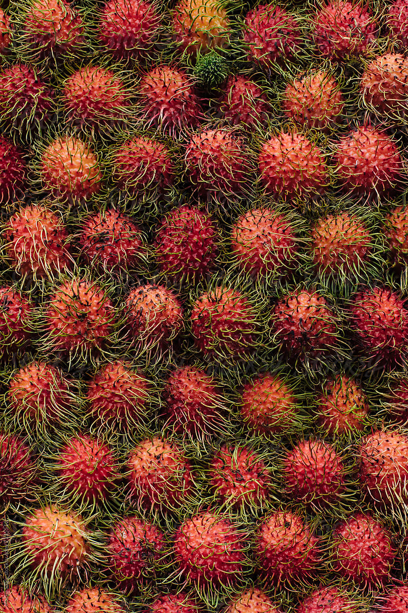 Rambutan Fruit Pile