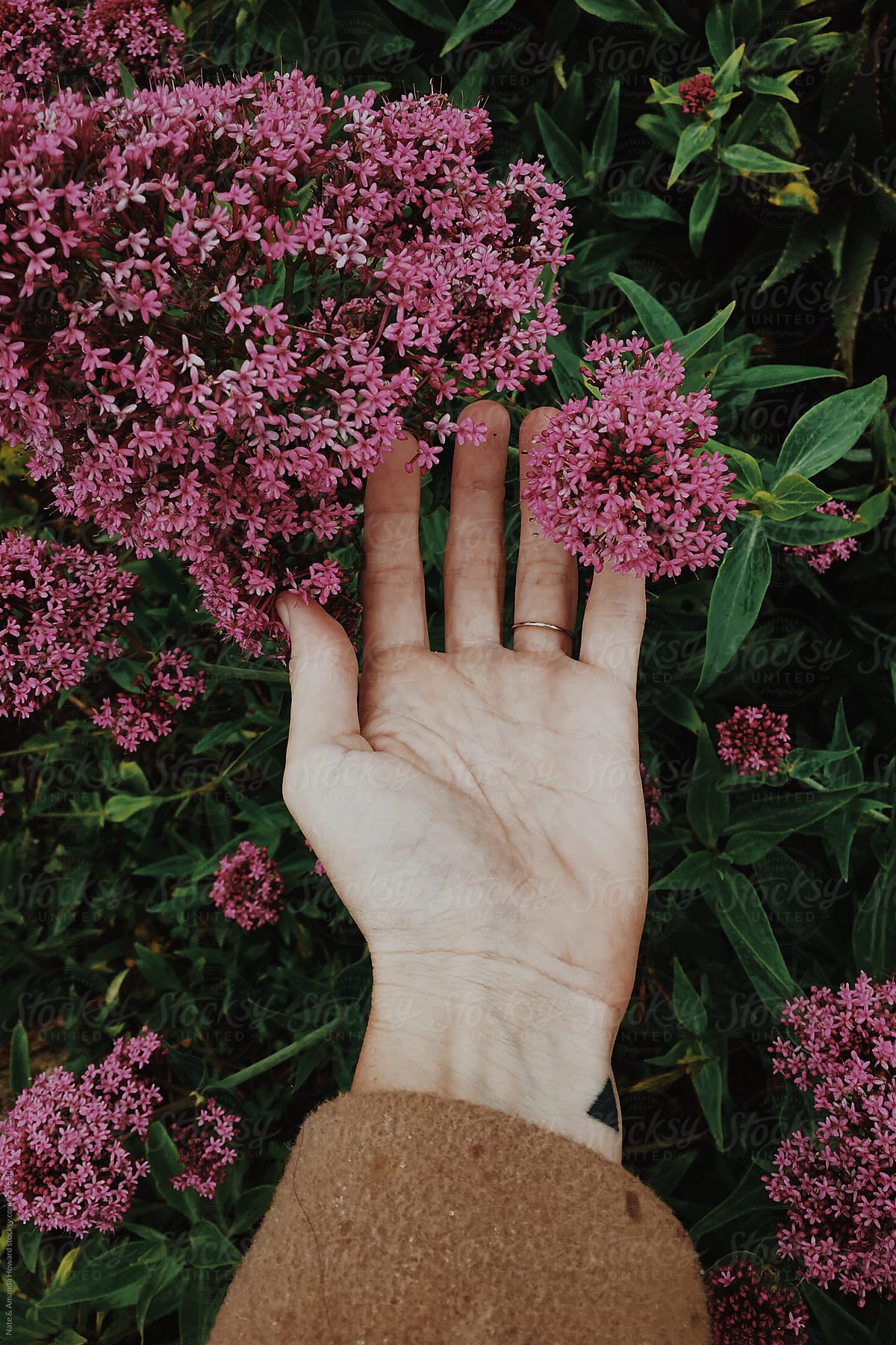 hand and flowers
