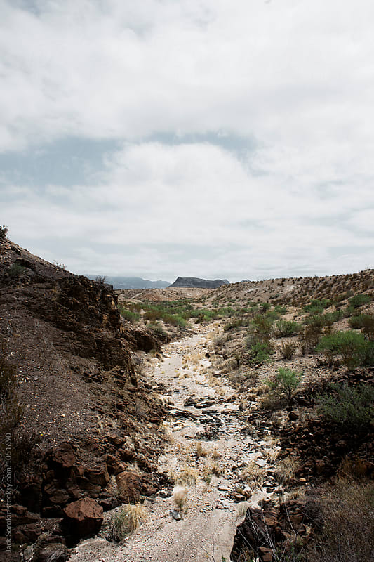 The Chihuahuan Desert in Big Bend National Park