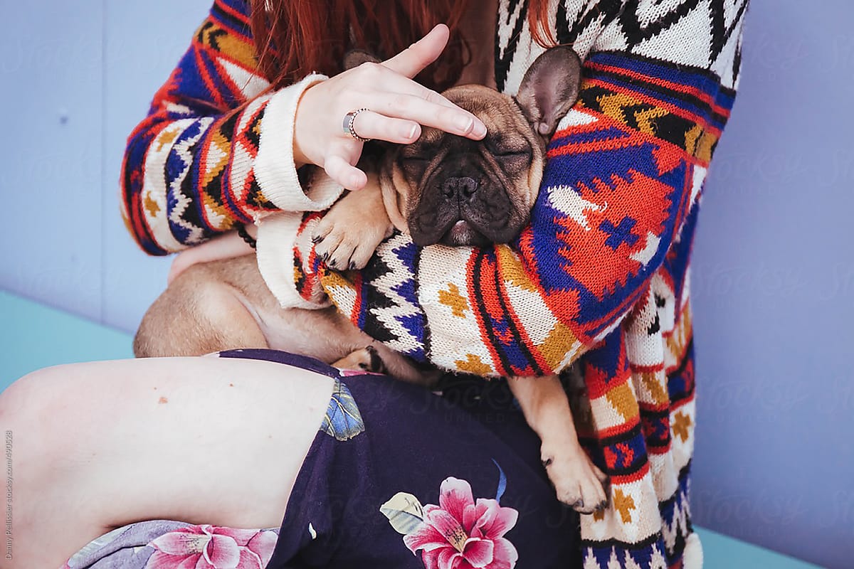 French bulldog in mom\'s arms