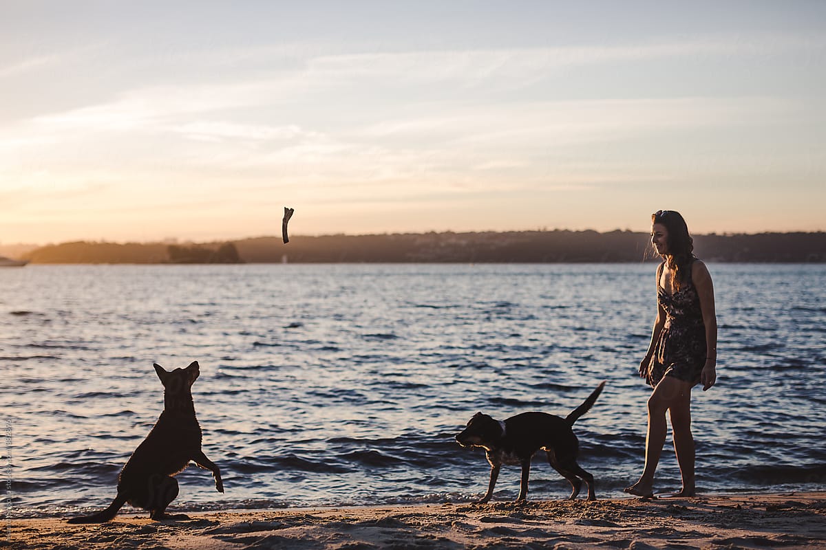 Woman along the beach with dogs