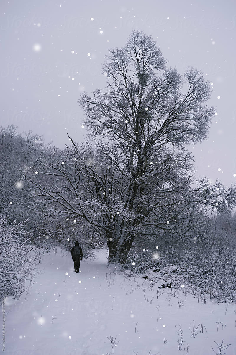 Man and giant frozen tree in cold winter