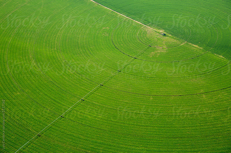 Aerial view of a crop circle
