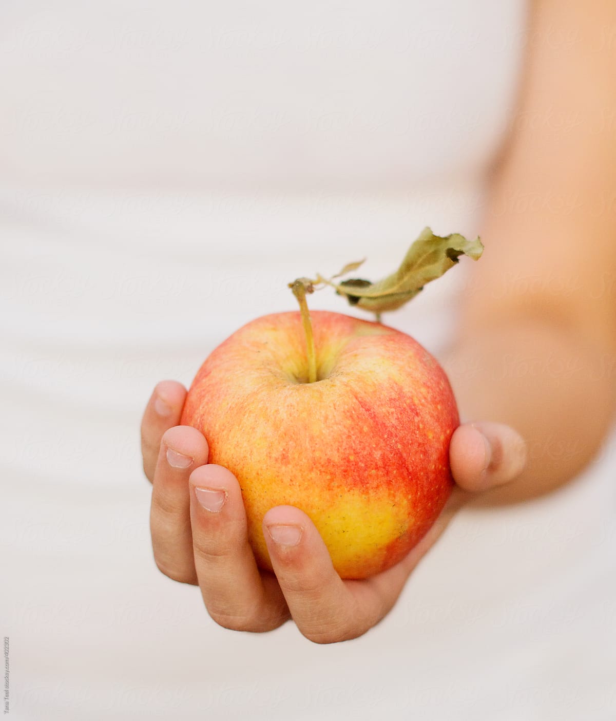 A freshly picked apple held in the palm of a hand
