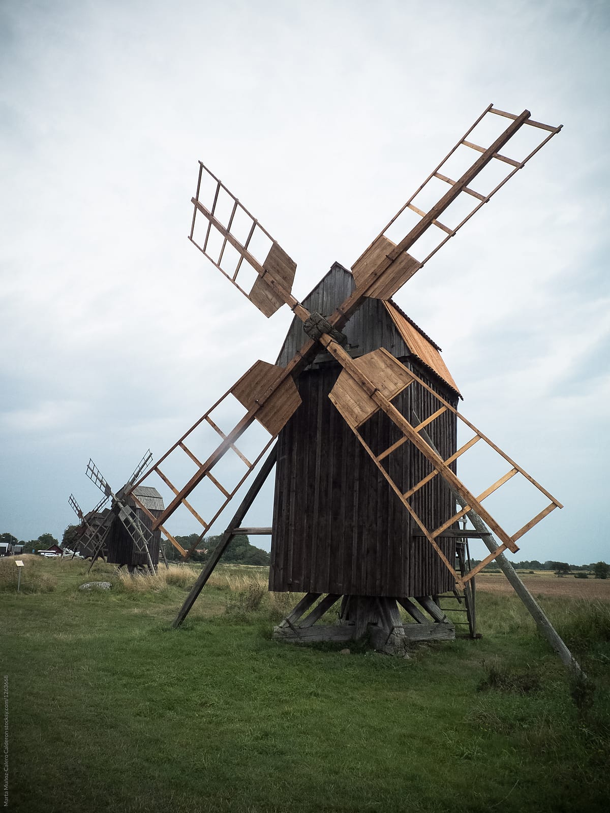 Danish Mill