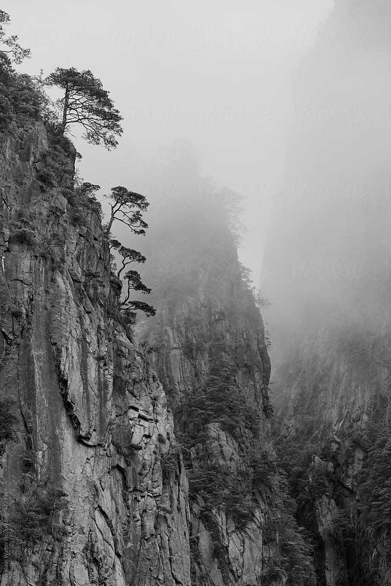 Huangshan Cliff In Monochrome