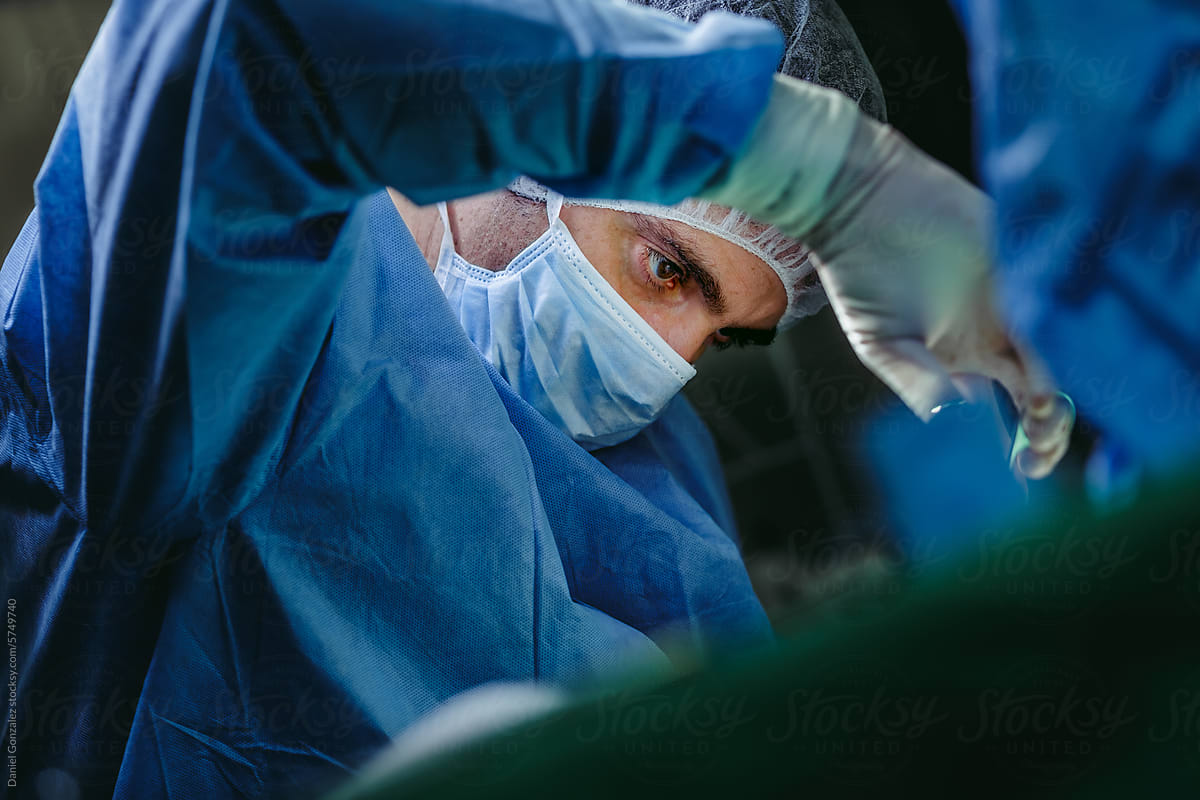 Focused male veterinary surgeon working in hospital