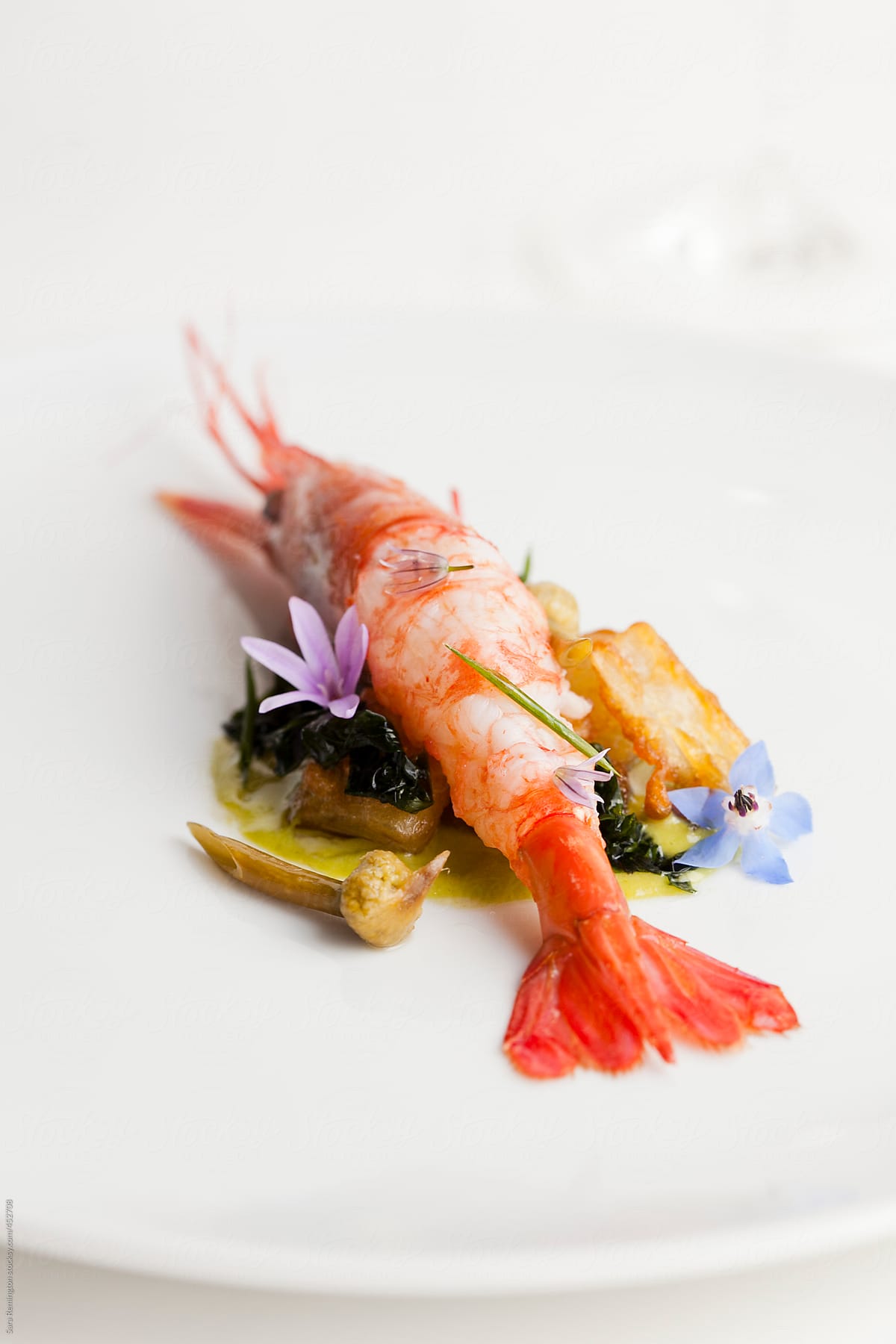 Plated Prawn With Edible Flowers