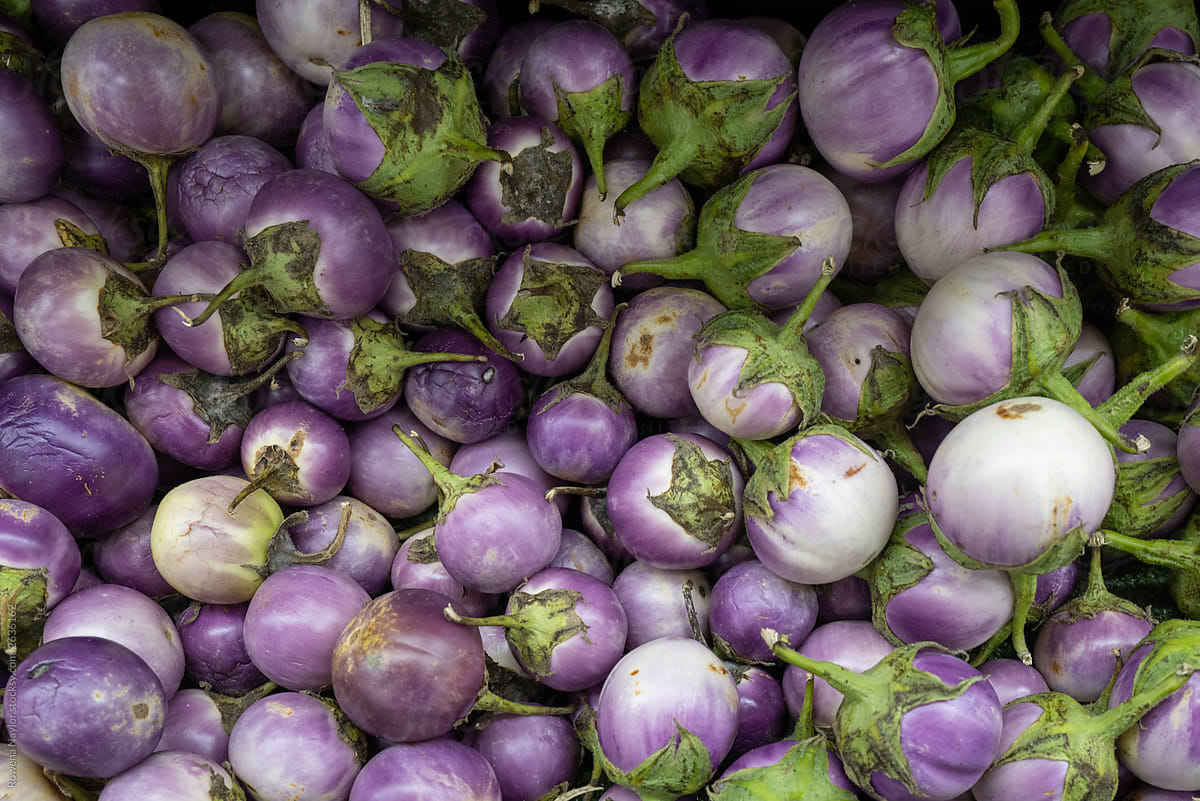 Thai Purple Eggplant