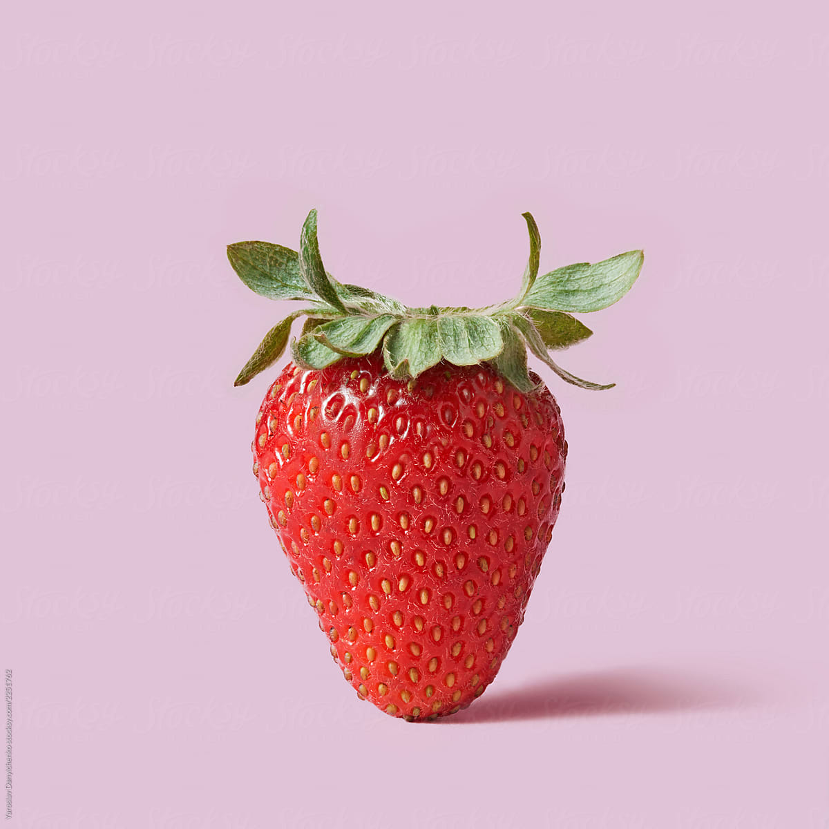 Ripe organic strawberries with green leaves on a pink background
