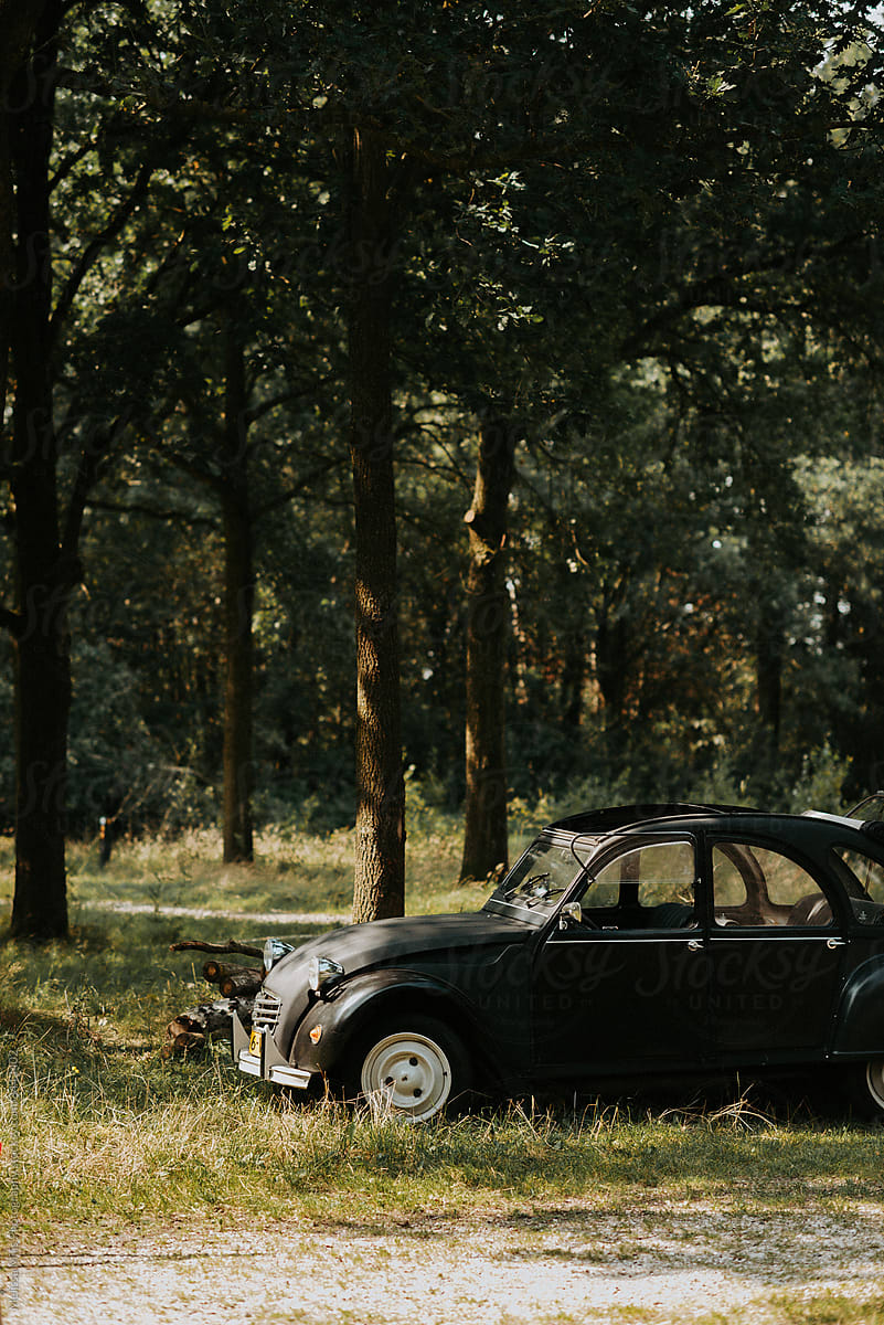 Black beetle car in the forest