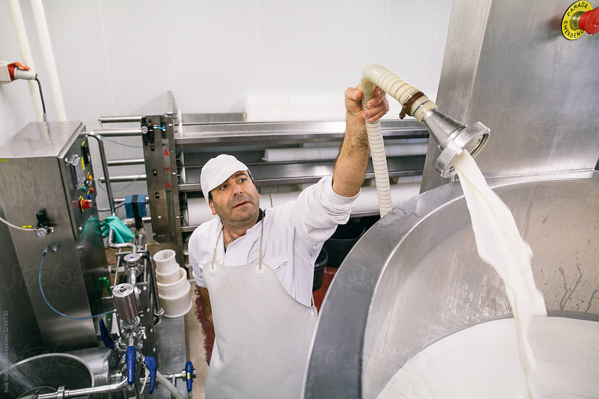 Man working in cheesemaking factory