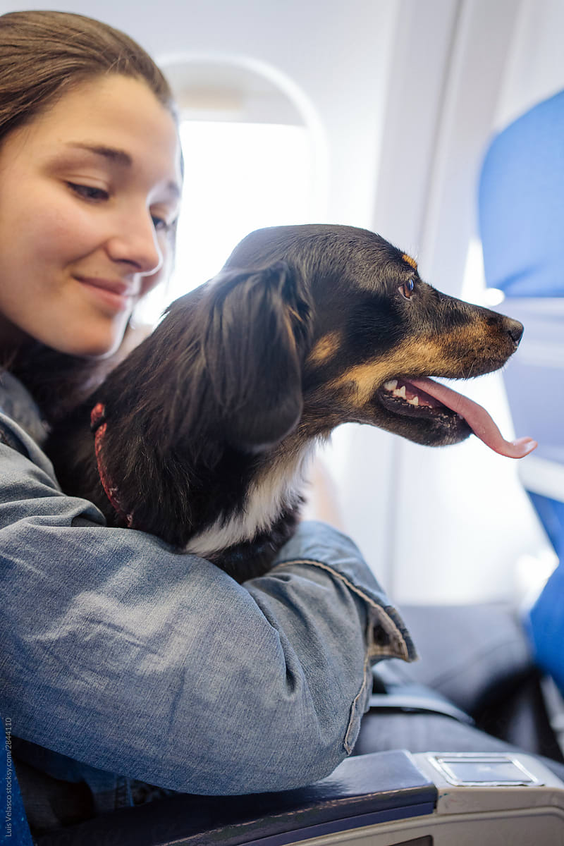 Girl Hugging Her Dog On A Plane.