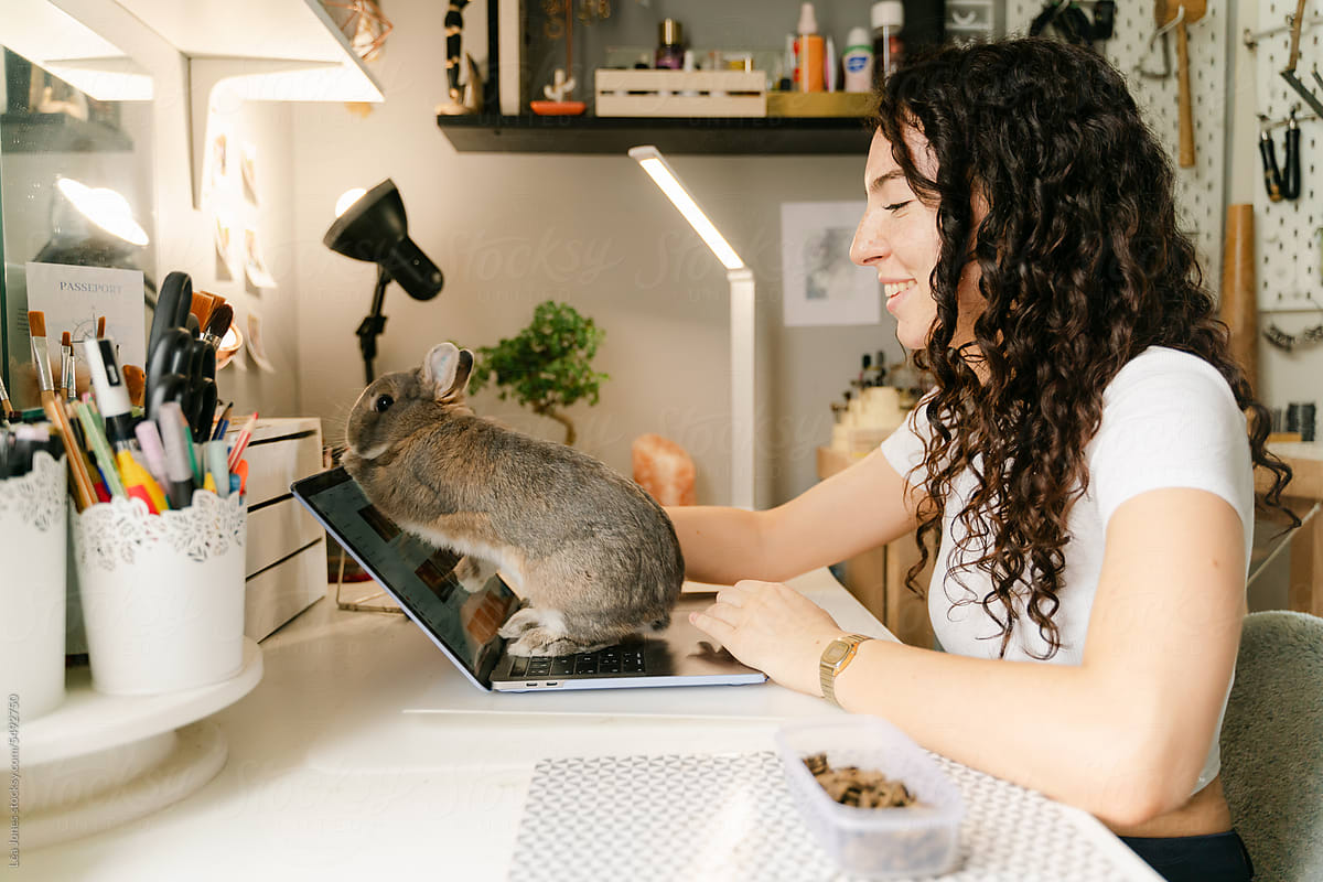 rabbit / bunny exploring laptop while young woman is smiling
