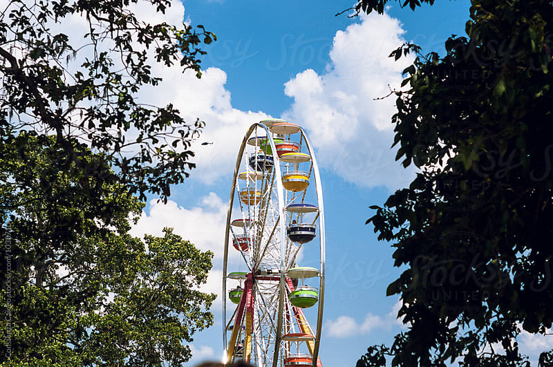 Ferris wheel in between trees on a sunny blue sky day