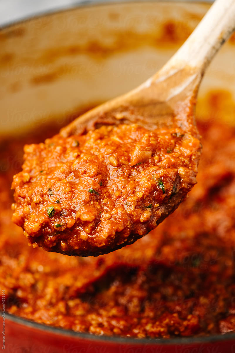 Meat Sauce Detail