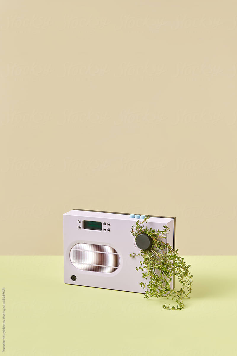 Green plant growing out of pink radio