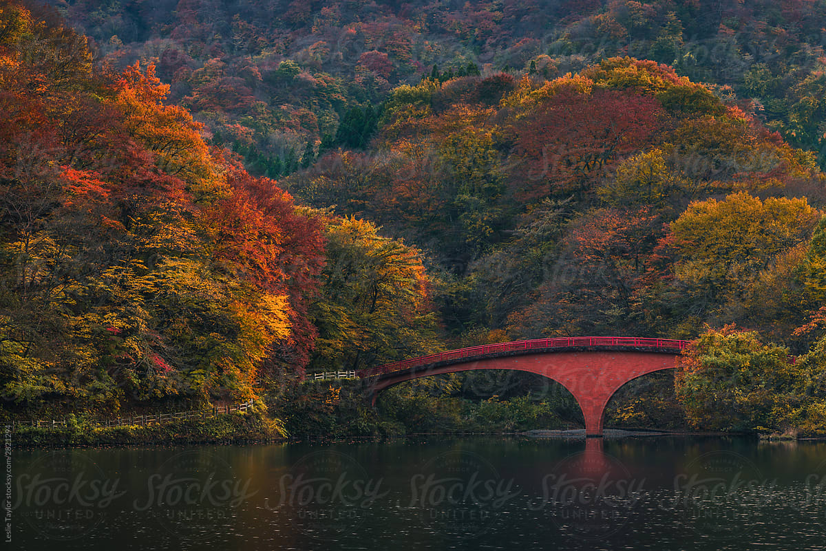 Autumn Colors On Lake Usui