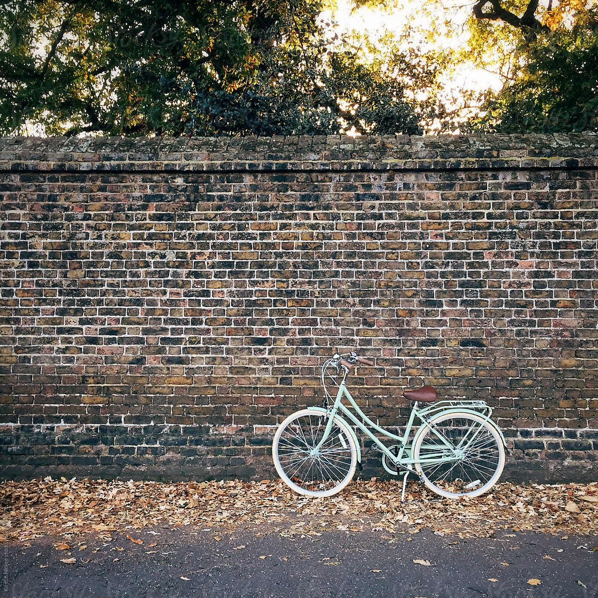 Bicycle against a wall in the autumn