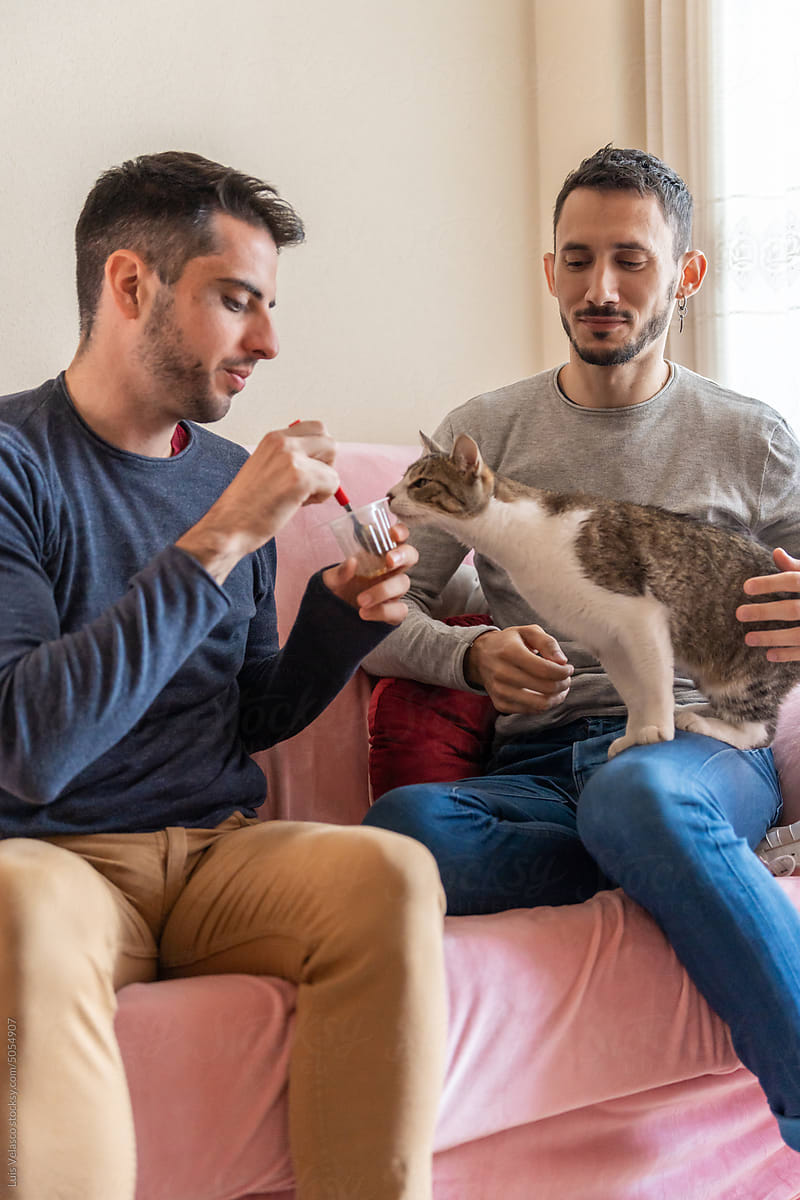 Gay Couple Feeding The Cat On The Couch.