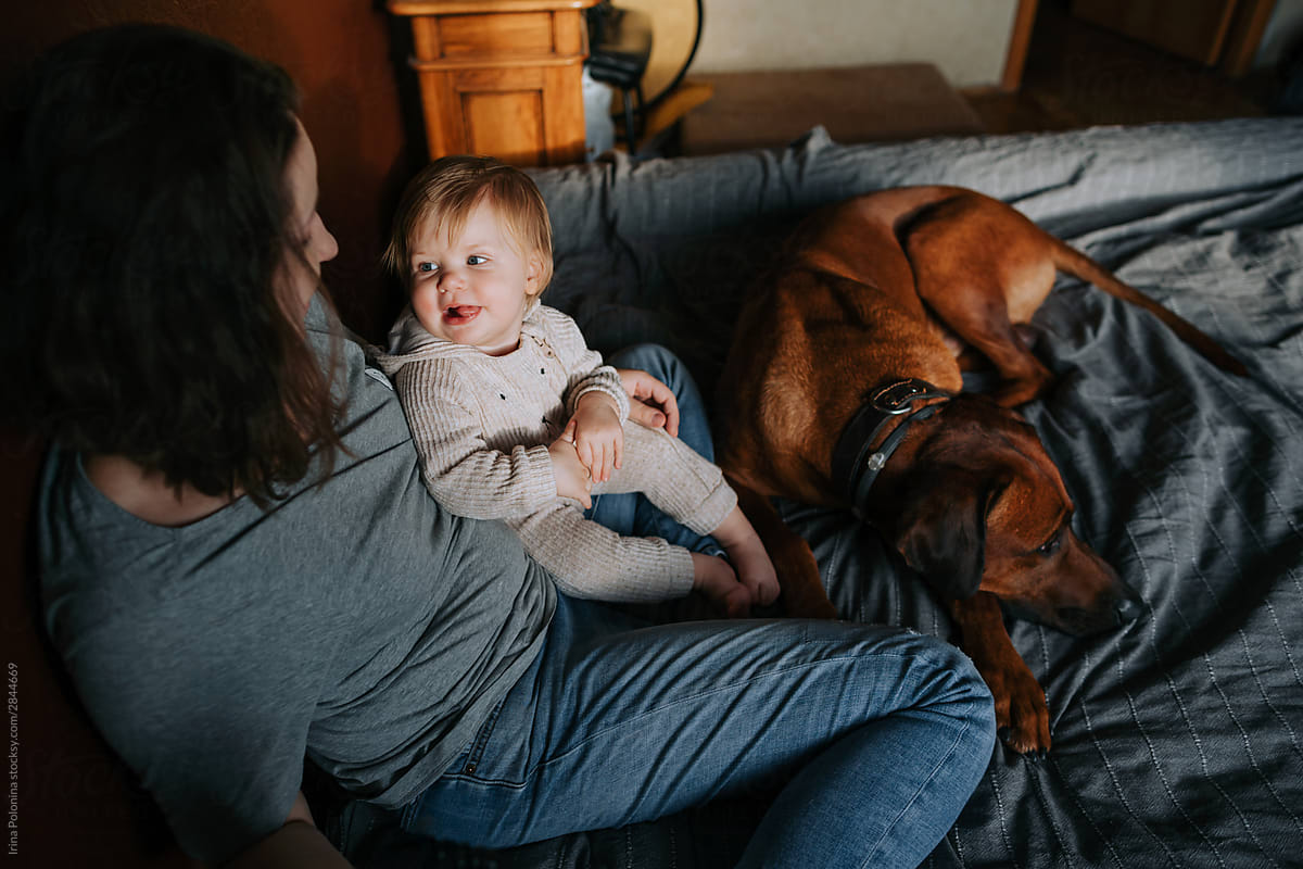 Family portrait of mom and baby with a dog