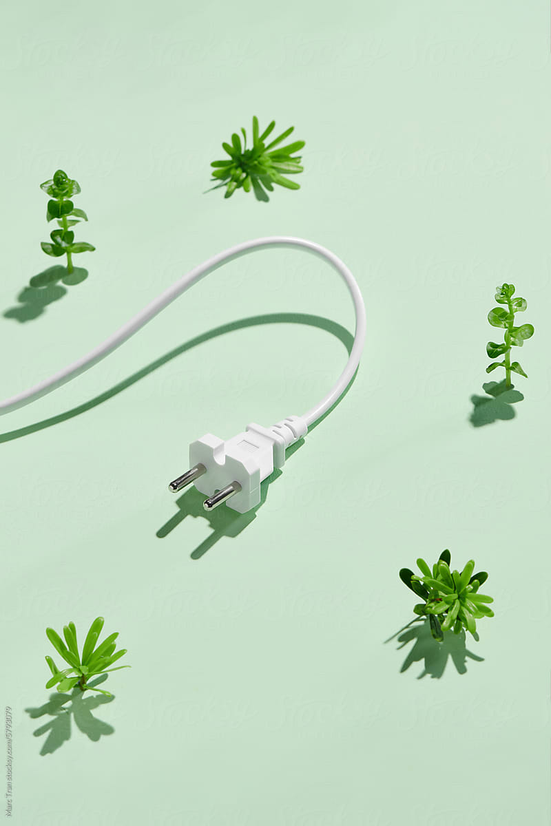 Plant branch with green leaves and power plug on green background.