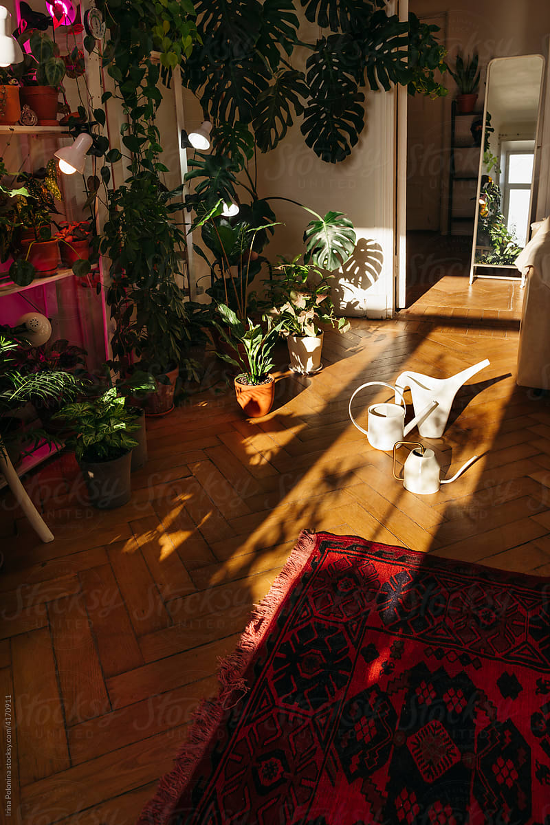 Studio with indoor plants.