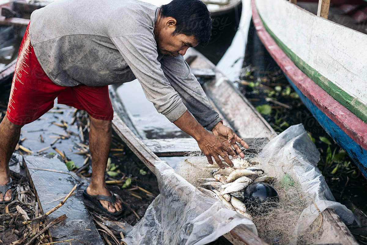 Collecting the fish in a small wooden boat