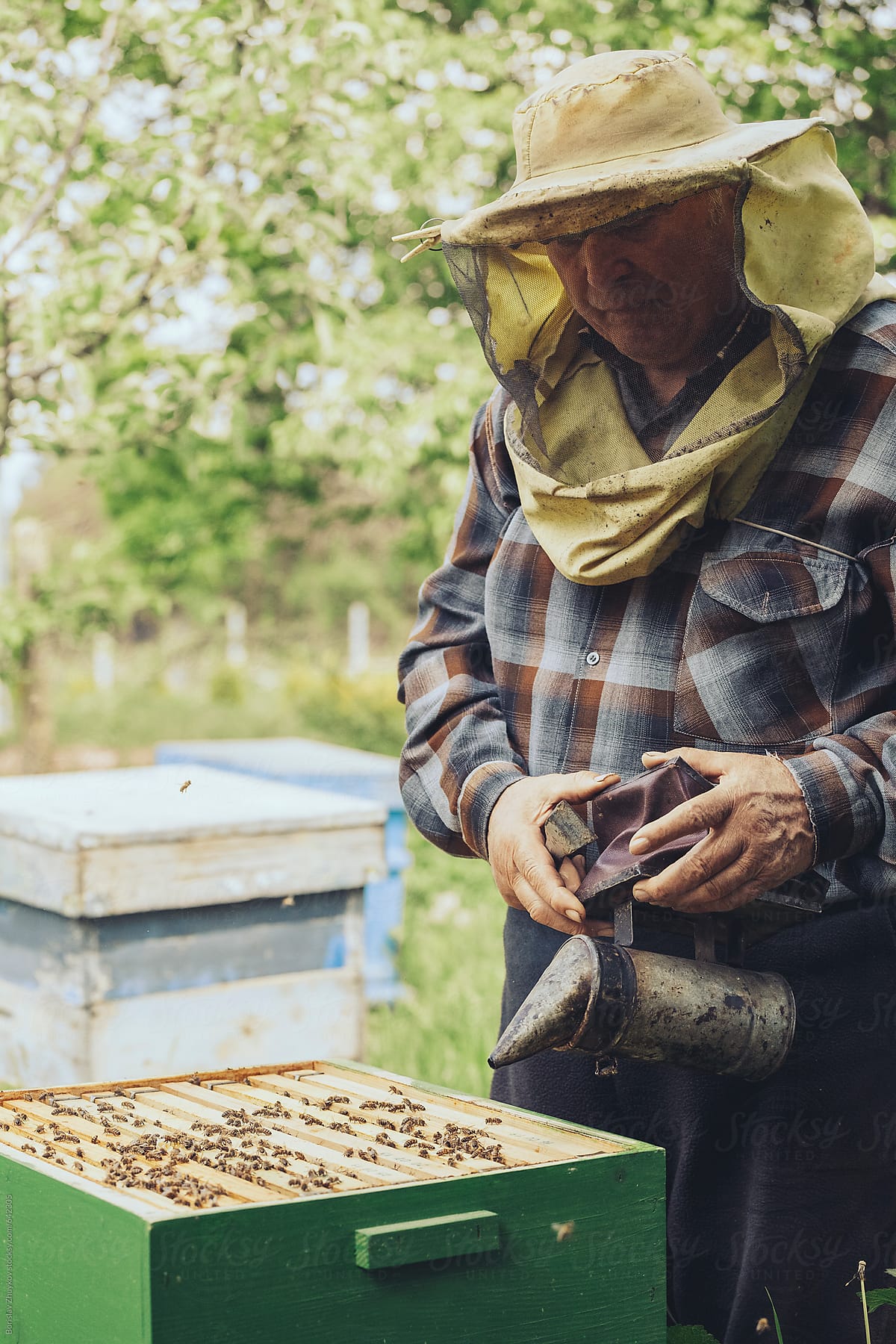 Beekeeper Working On His Bee Hives with Bee Smoker