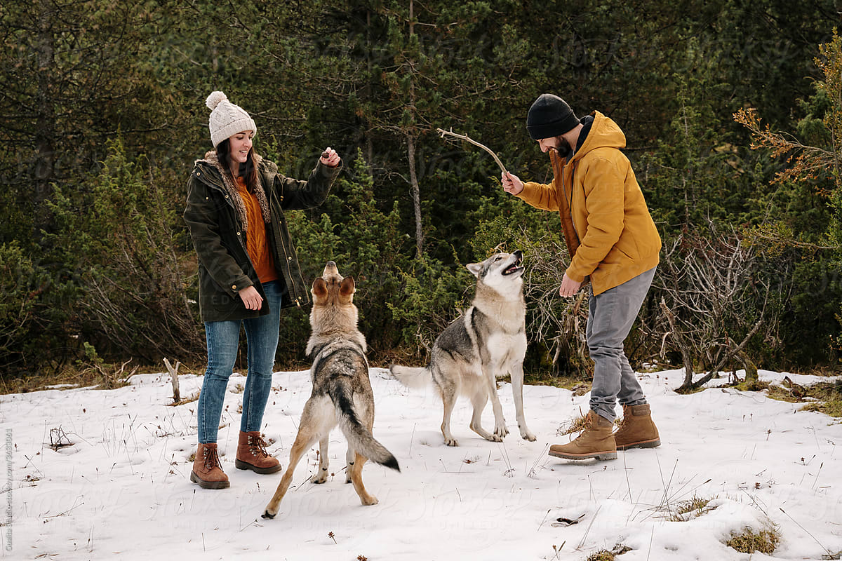 Couple walking in nature in winter with their dogs