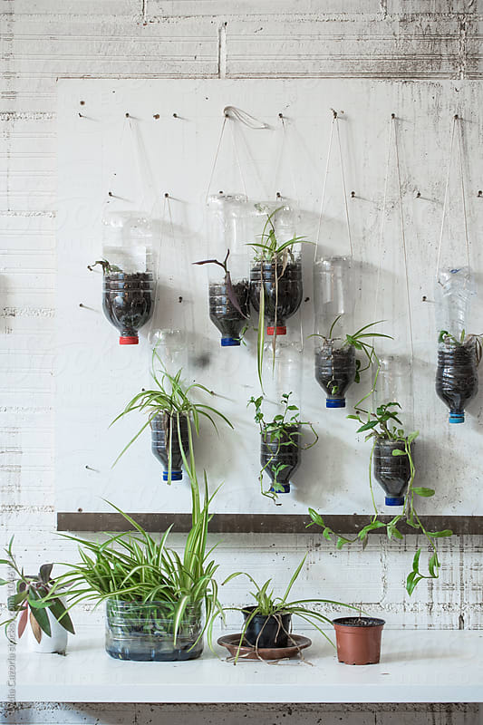 White board with recycled bottles and plants