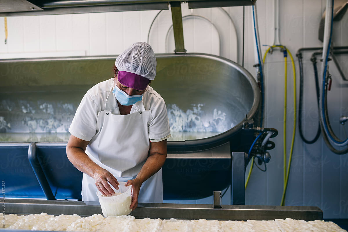 Woman working at cheesemaking factory