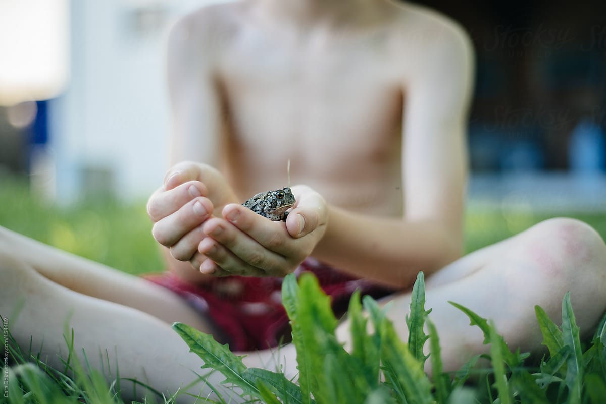 Boy plays with a toad he found in his backyard