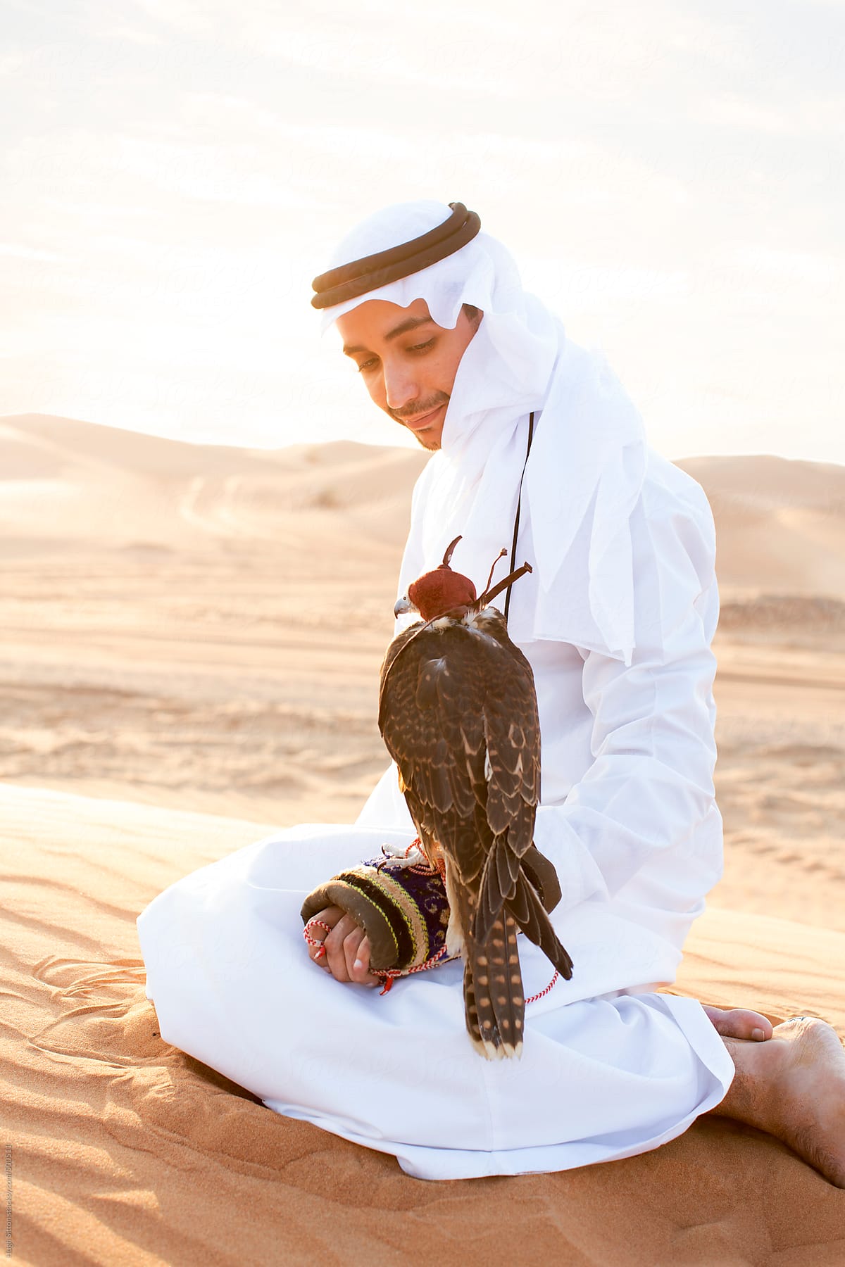 Arabian man in the desert with falcon. Dubai. U.A.E.