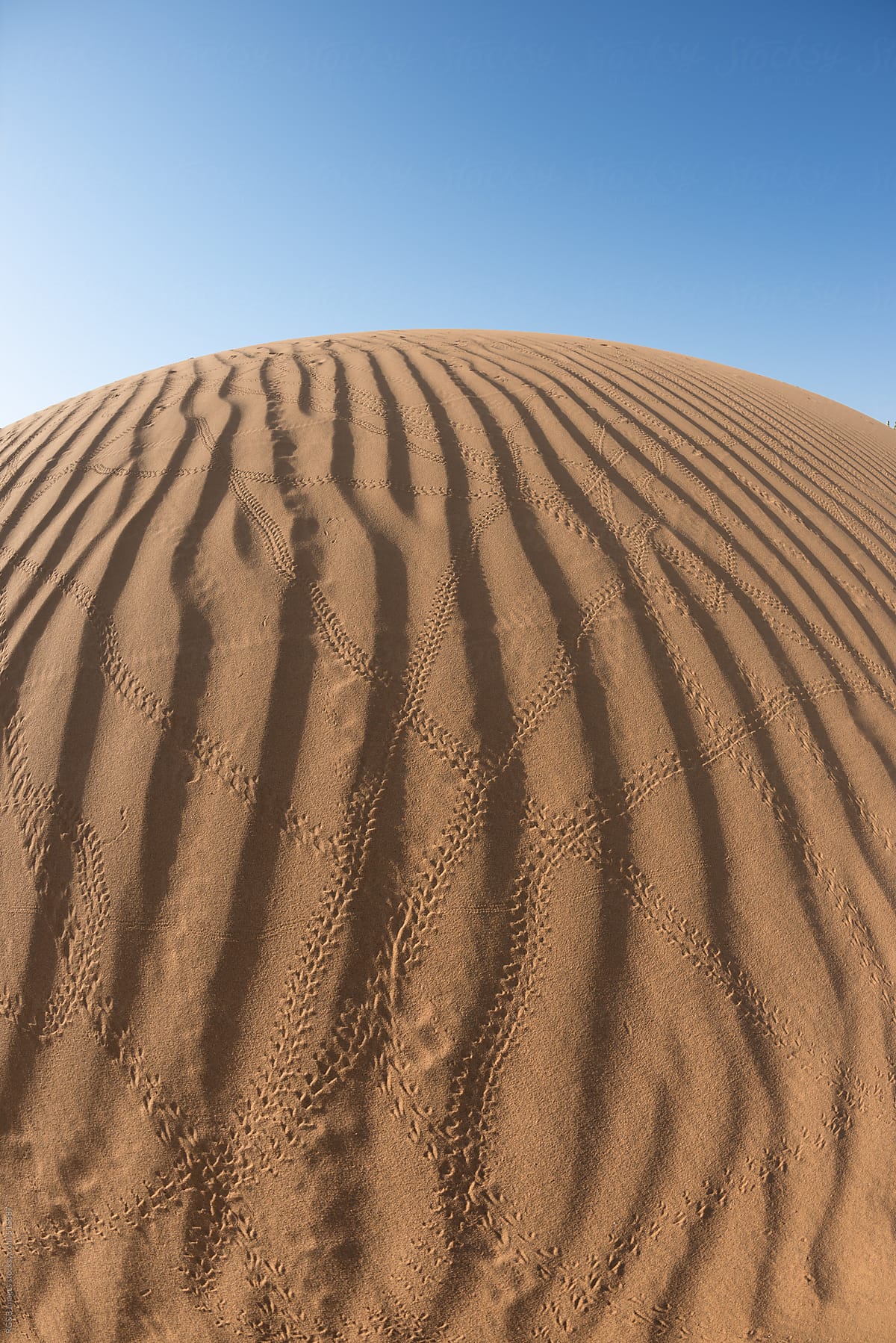 Sand Dune with wavy pattern