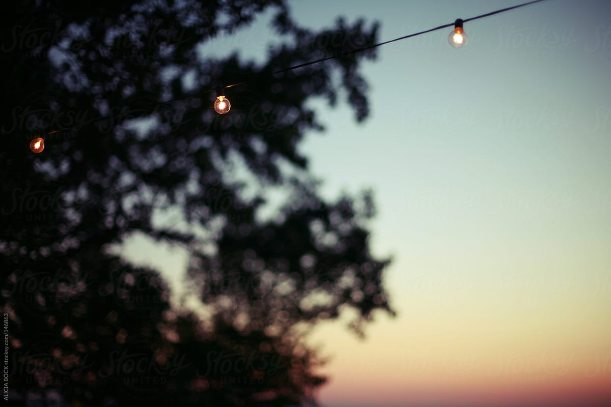 Summer String Lights At Sunset